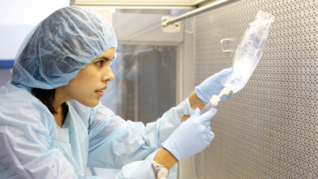 Student in pharmacy lab